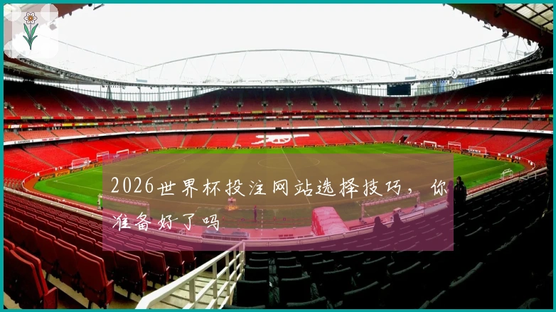 2026世界杯投注网站选择技巧，你准备好了吗