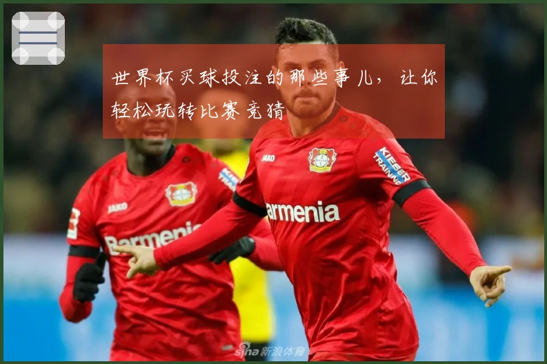 世界杯买球投注的那些事儿，让你轻松玩转比赛竞猜
