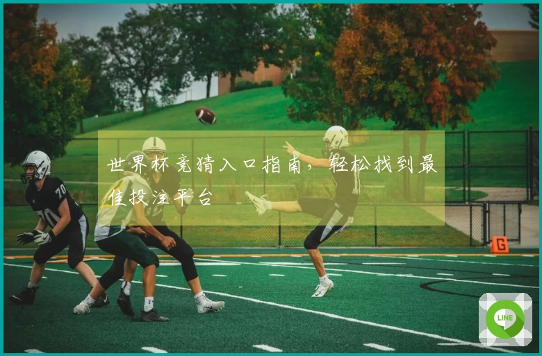 世界杯竞猜入口指南，轻松找到最佳投注平台