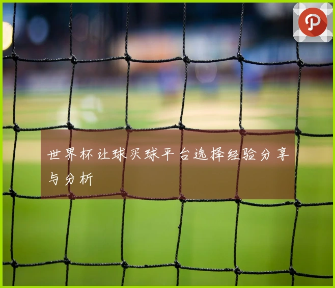 世界杯让球买球平台选择经验分享与分析