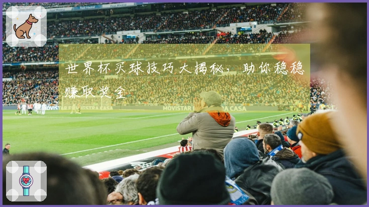 世界杯买球技巧大揭秘，助你稳稳赚取奖金