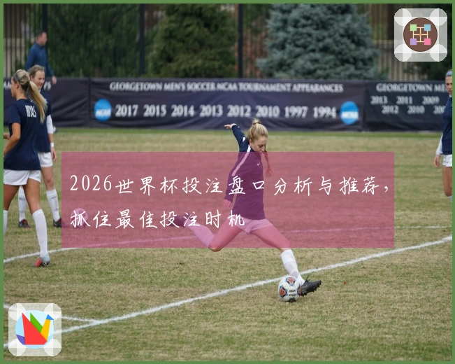 2026世界杯投注盘口分析与推荐，抓住最佳投注时机